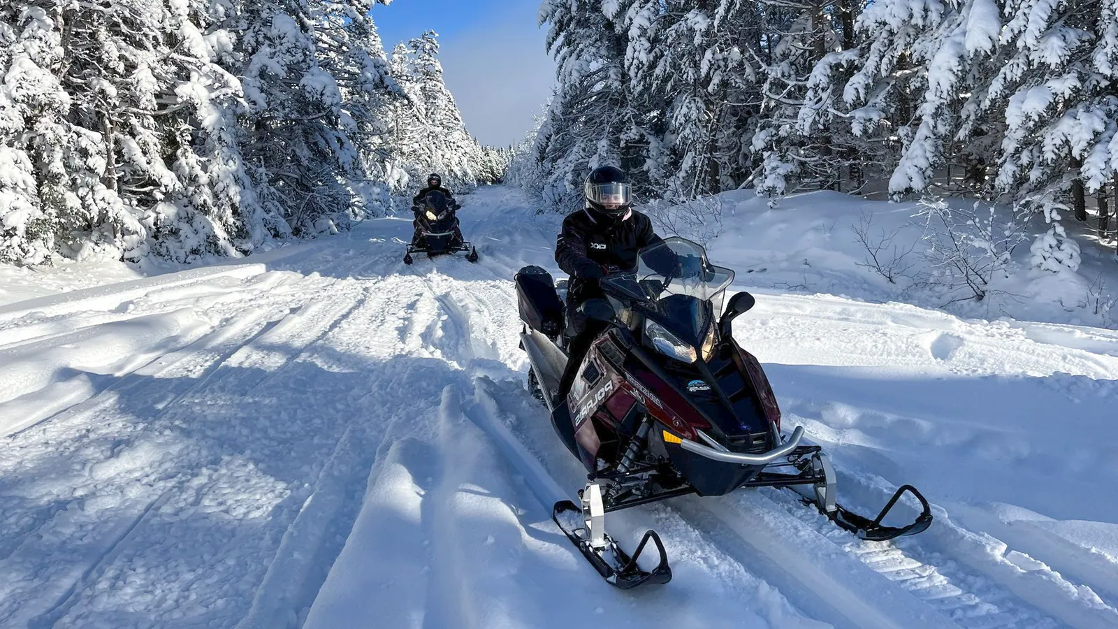 Snowmobile riding a snowy forest trail