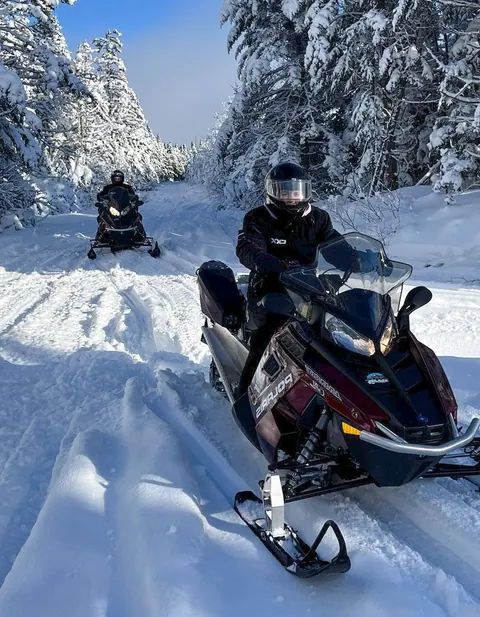Snowmobile riding a snowy forest trail