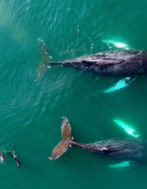 Guests on a guided boat tour along the Cape Breton coast