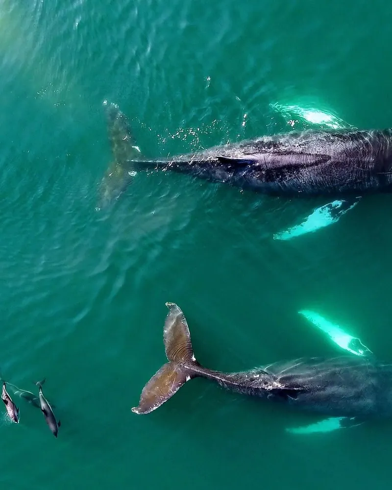 Guests on a guided boat tour along the Cape Breton coast