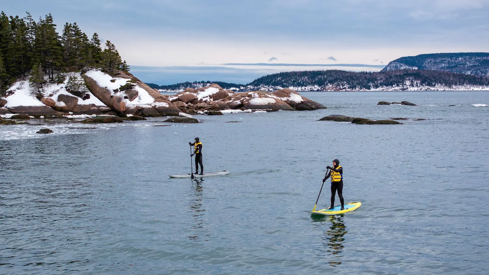 Paddleboarders on calm coastal water