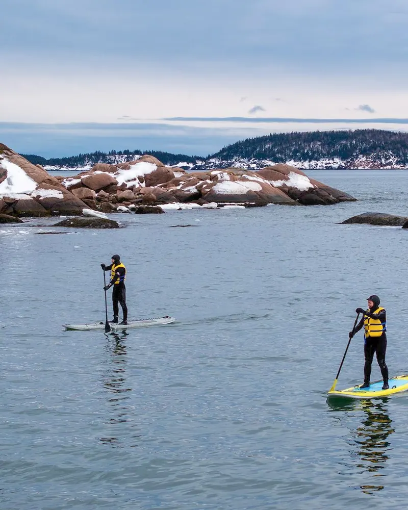 Paddleboarders on calm coastal water