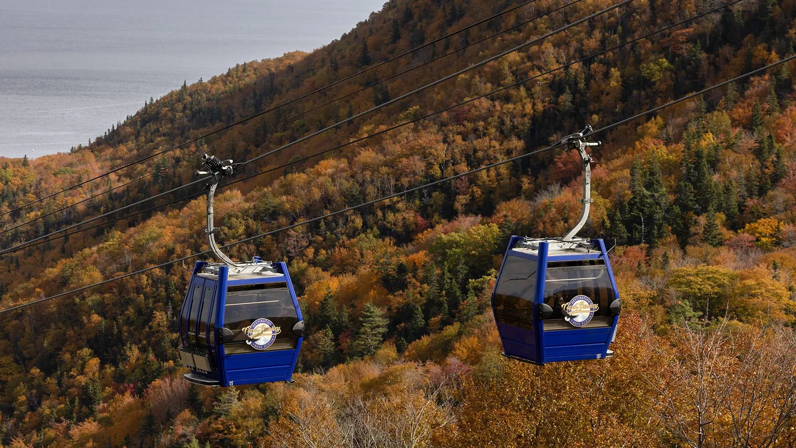 Cape Smokey gondola cabins above the forest and the Atlantic