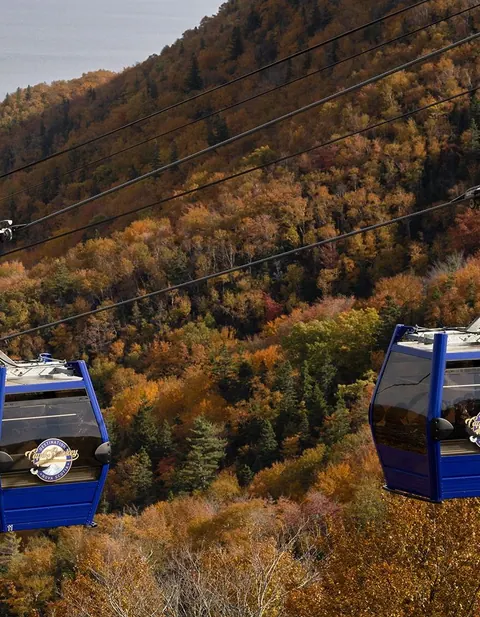 Cape Smokey gondola cabins above the forest and the Atlantic