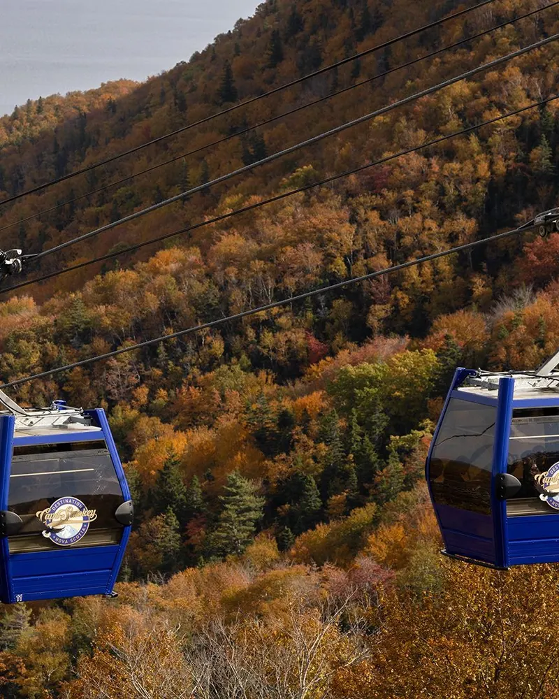 Cape Smokey gondola cabins above the forest and the Atlantic