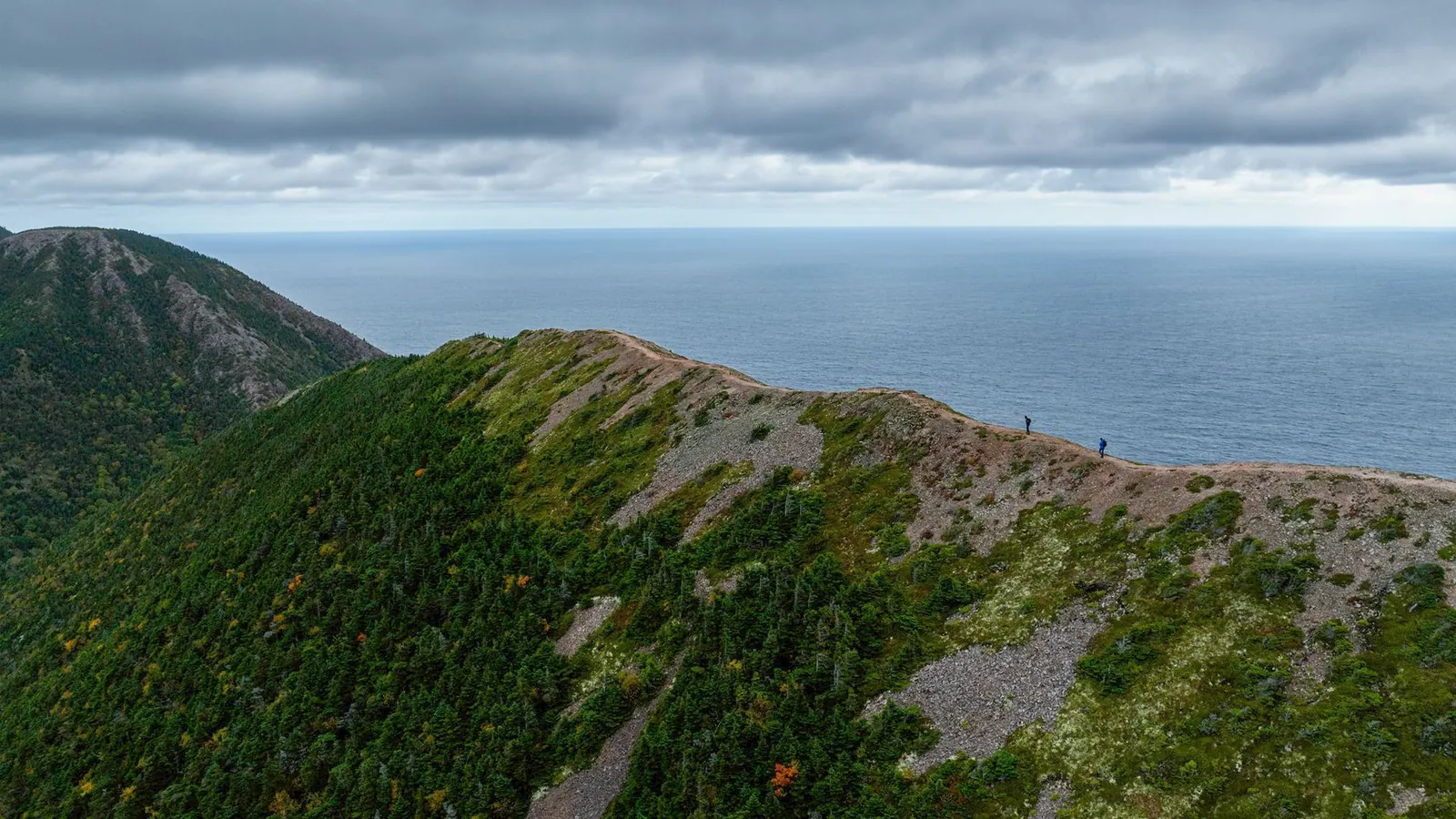 Hiker on a trail in Cape Breton Highlands National Park