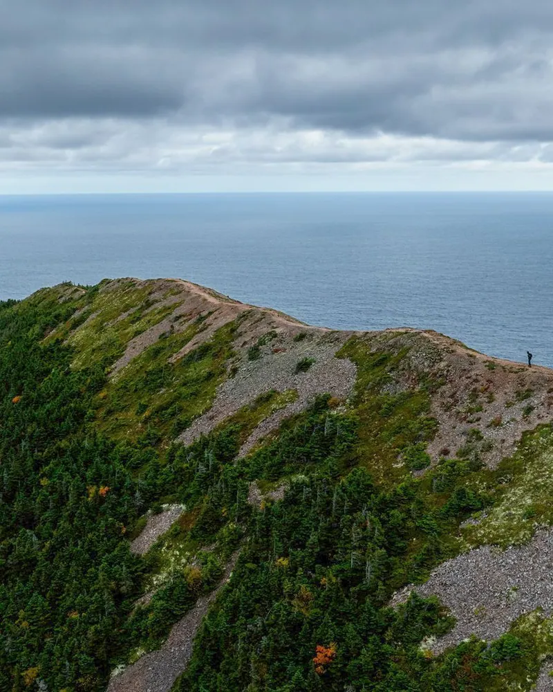 Hiker on a trail in Cape Breton Highlands National Park