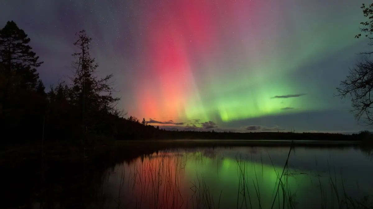 Green and red northern lights reflected in a still lake below dark trees