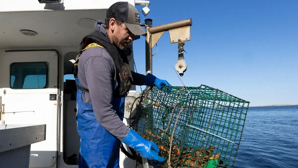 Fisherman hauling a lobster trap aboard his boat