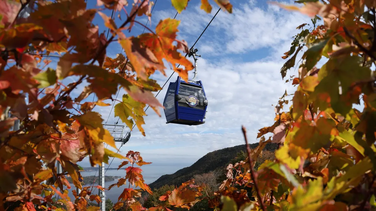 Blue Cape Smokey gondola cabin framed by orange autumn leaves