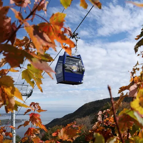 Blue Cape Smokey gondola cabin framed by orange autumn leaves