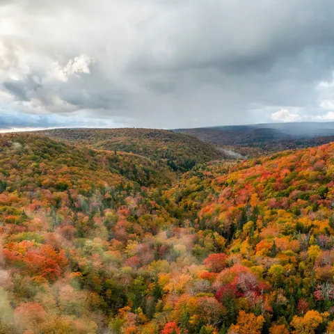 Aerial view of an autumn forest valley in the highlands