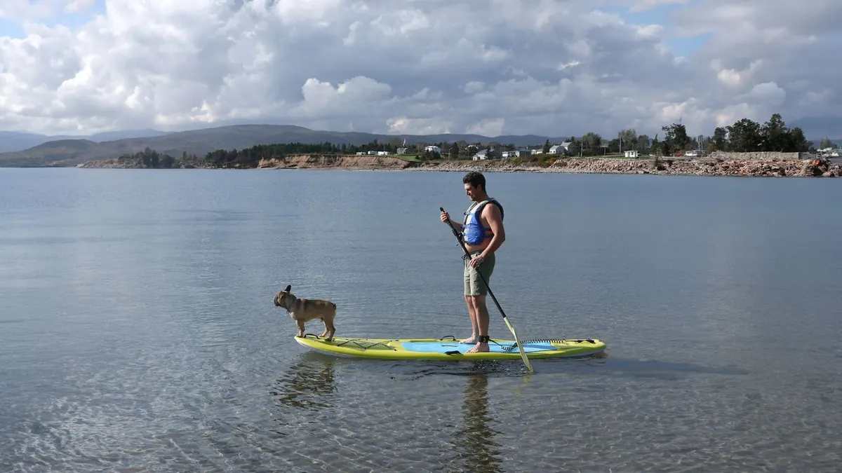 Paddleboarder with a dog standing on the board in shallow water