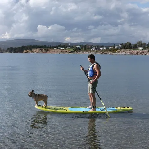 Paddleboarder with a dog standing on the board in shallow water