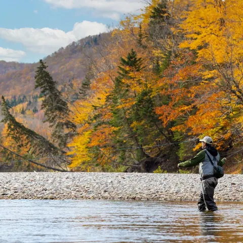 Fly fisherman wading a river below autumn hills