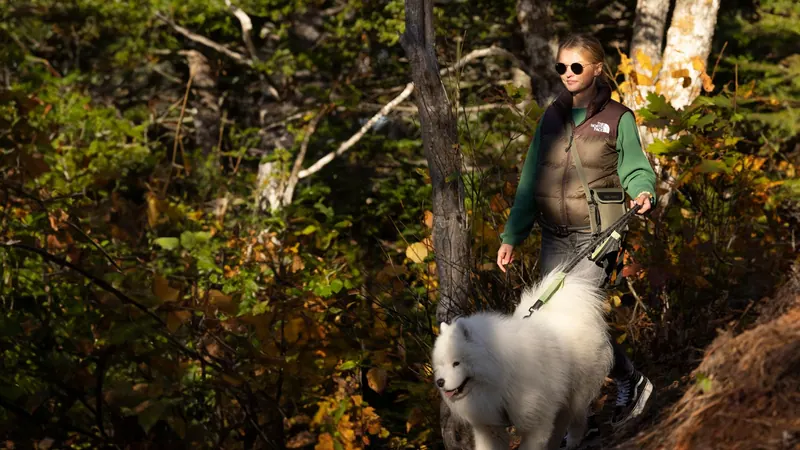 Hiker with a white dog on a forest trail in autumn