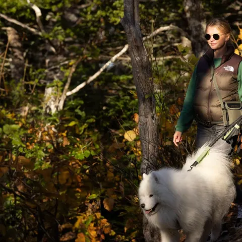 Hiker with a white dog on a forest trail in autumn