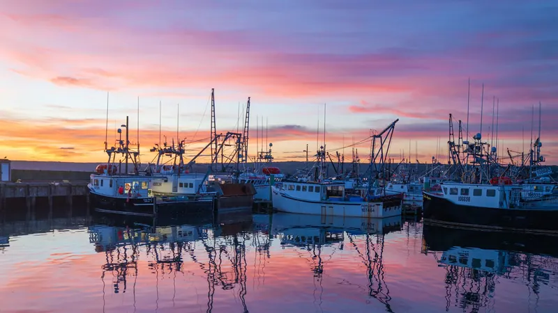 Fishing boats in a harbour at a pink sunset