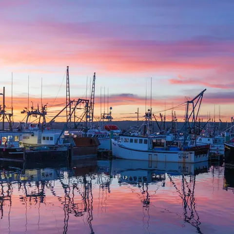 Fishing boats in a harbour at a pink sunset