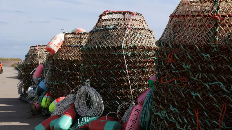 Stacked lobster traps with colourful buoys