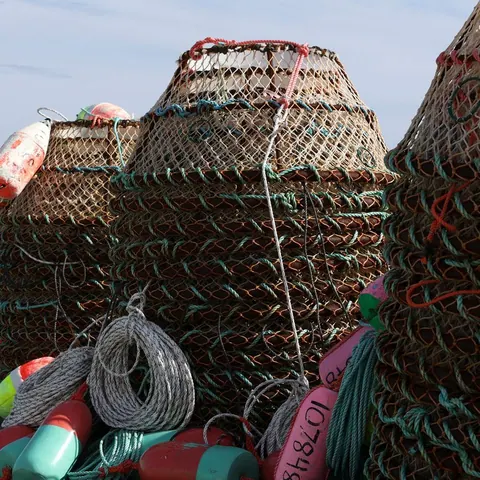 Stacked lobster traps with colourful buoys