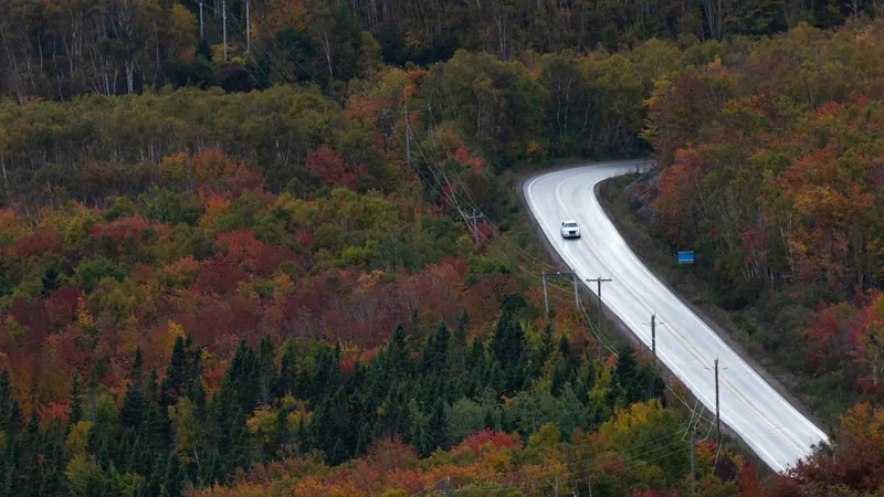 A winding road through red and orange autumn forest