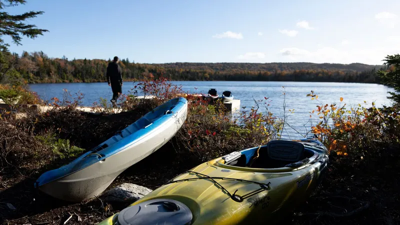 Kayaks pulled up on a lakeshore