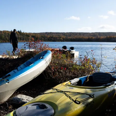 Kayaks pulled up on a lakeshore