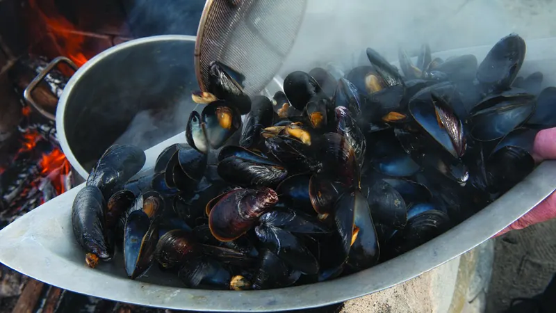 Pot of steamed Atlantic mussels