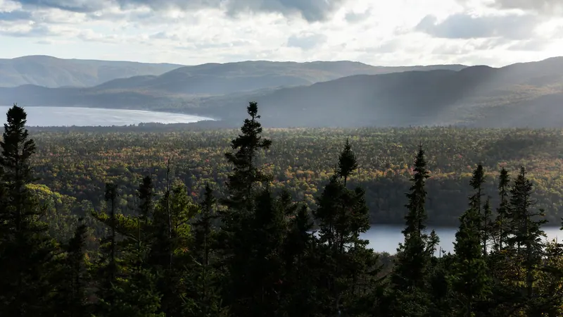 Spruce forest above a lake with hills beyond