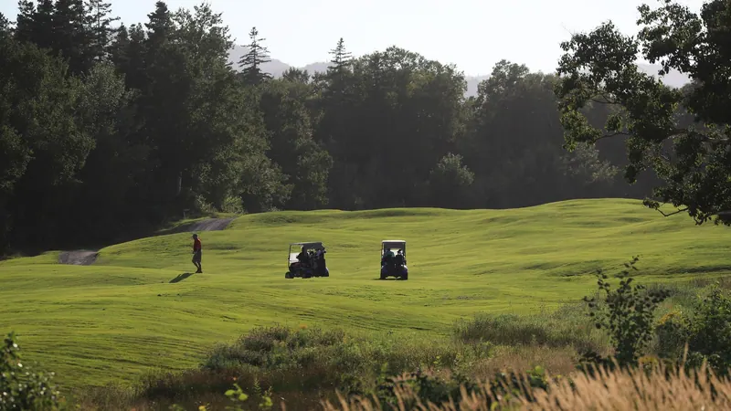 Golf carts on a fairway lined by trees