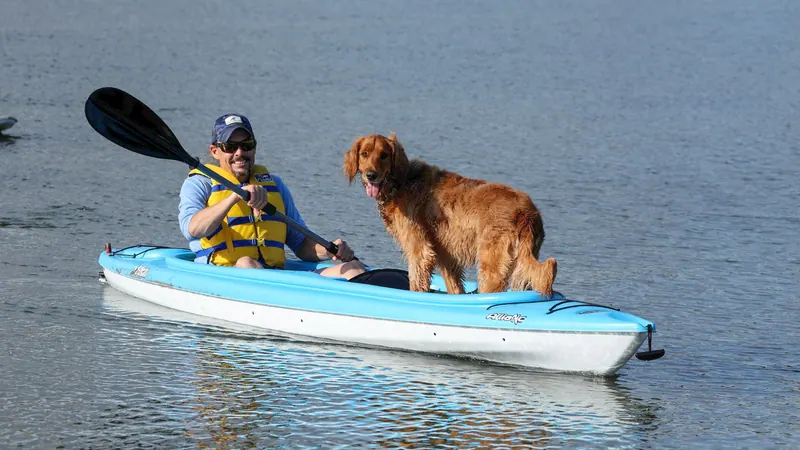 Man in a life jacket paddling a blue kayak with his dog