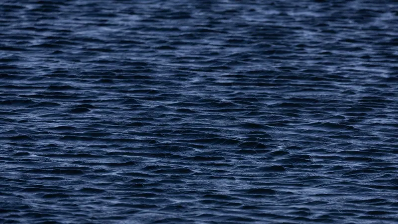 Dark blue ocean water rippling in the wind
