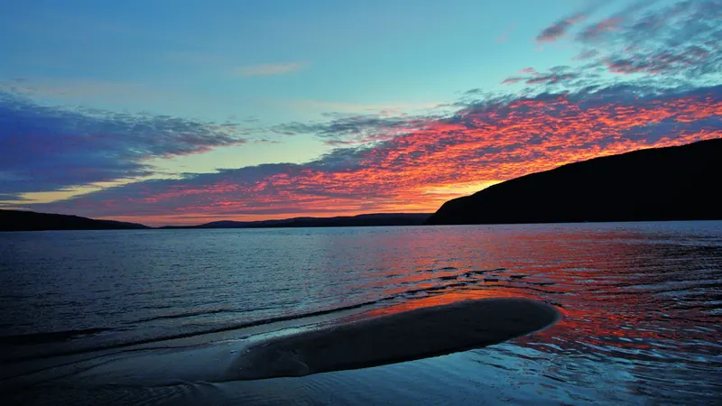 Whale surfacing at sunset under a red sky