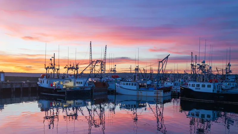 Fishing boats moored in a harbour at sunset