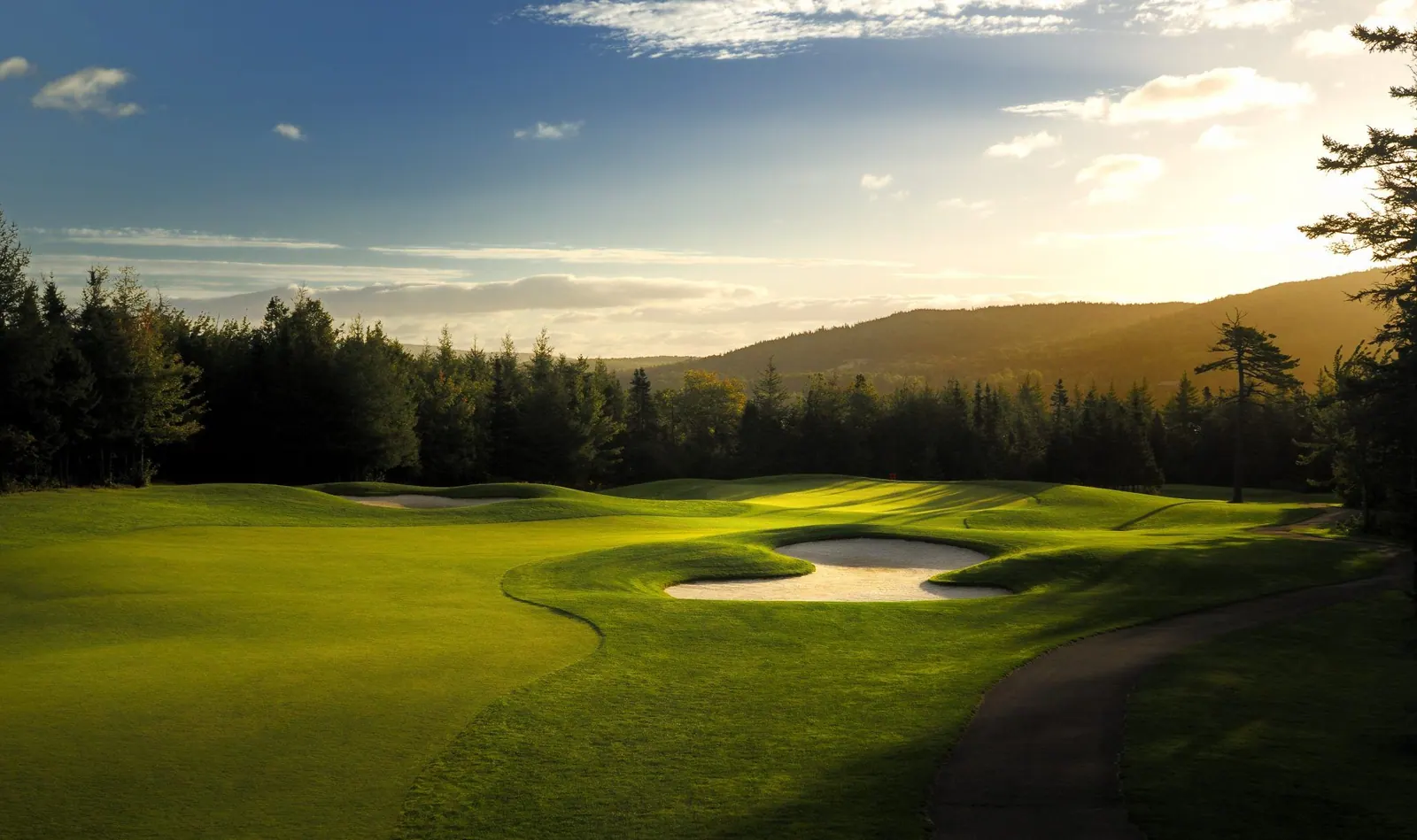 Golf green and bunker at Bell Bay Golf Club in low evening sun, framed by evergreen forest