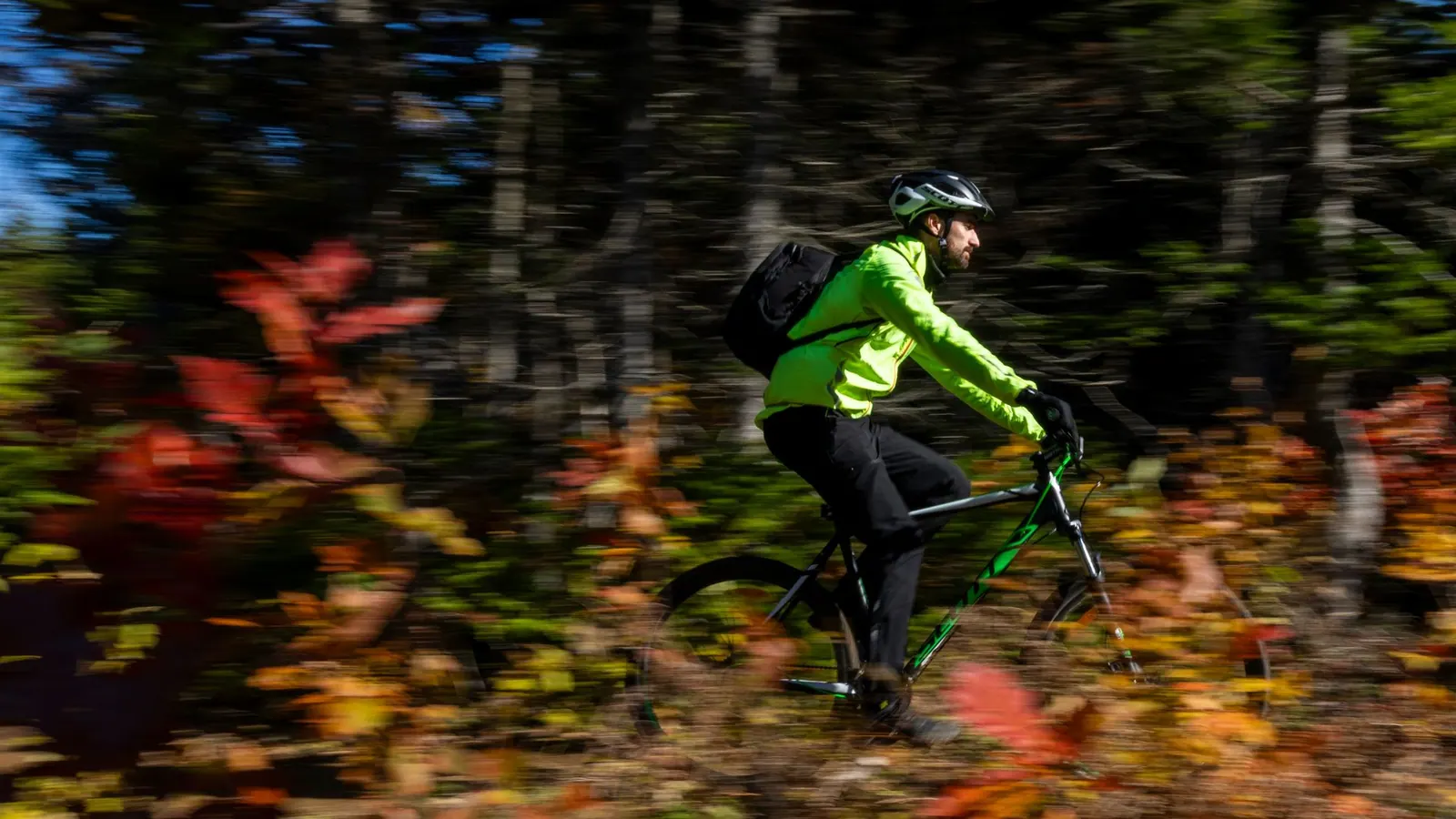 Mountain biker on a forest trail