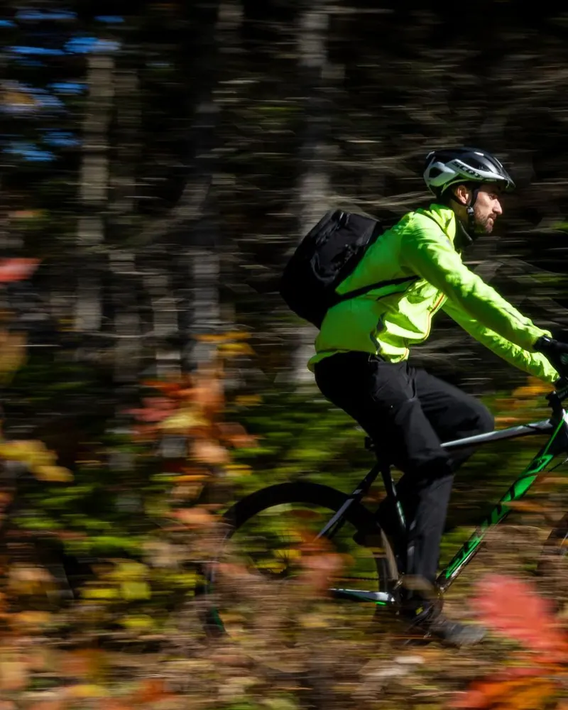Mountain biker on a forest trail