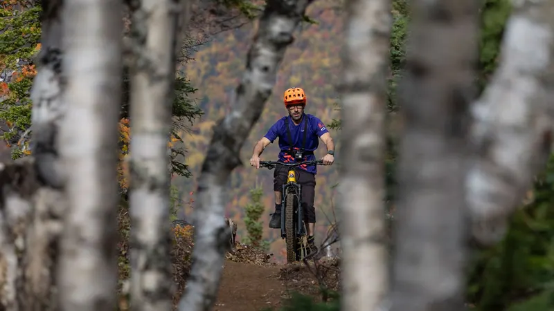 Mountain biker riding between birch trees