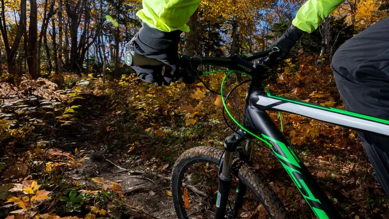 Close-up of a mountain bike on a leafy autumn trail