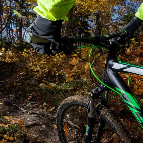 Close-up of a mountain bike on a leafy autumn trail