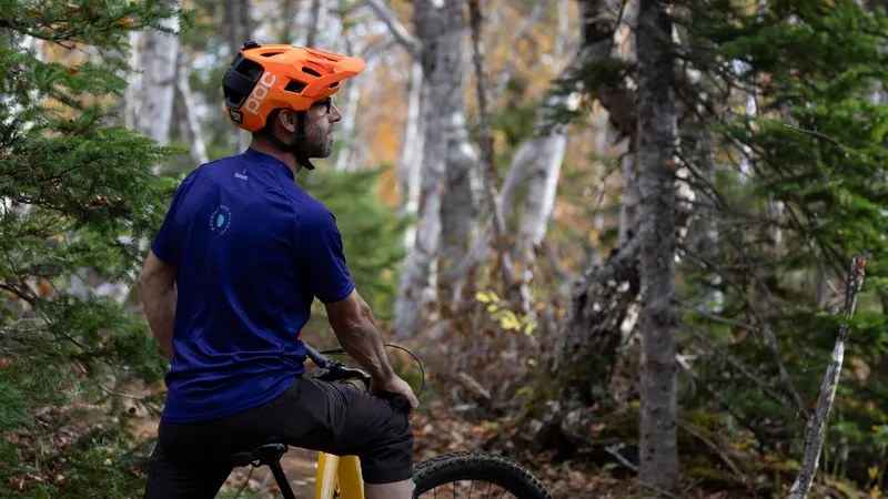 Mountain biker pausing among birch trees