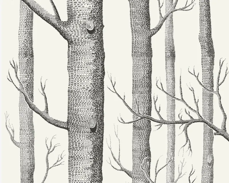 Cole & Son black and white birch-forest wallpaper