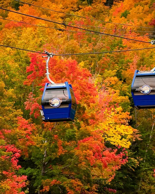 Blue Cape Smokey gondola cabins above bright autumn forest