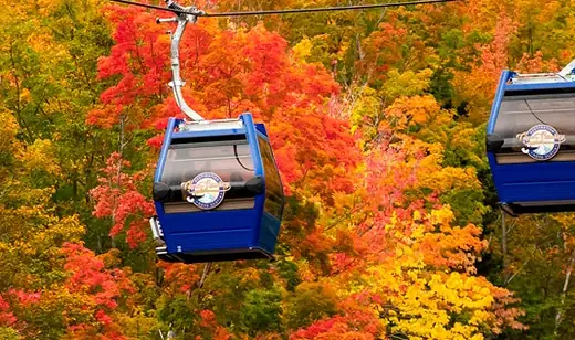 Blue Cape Smokey gondola cabins gliding above bright autumn forest
