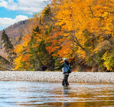 Angler fly-fishing a river among autumn trees