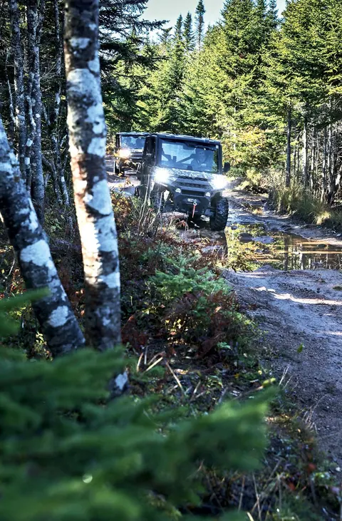 Off-road vehicle on a muddy birch forest track