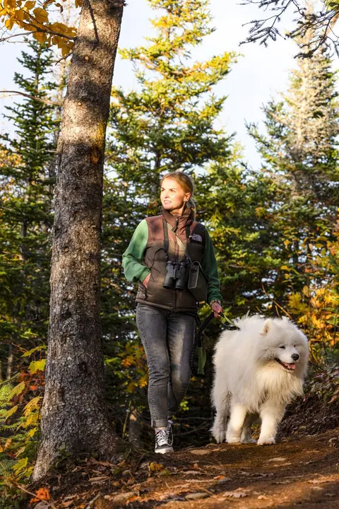 Hiker with a white dog on a forest trail