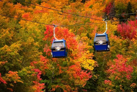 Gondola cabins above bright autumn forest