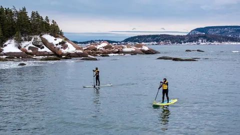 Two paddleboarders on calm coastal water